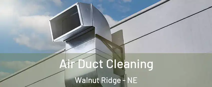 Air Duct Cleaning Walnut Ridge - NE