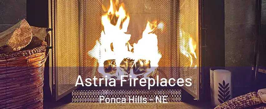 Astria Fireplaces Ponca Hills - NE