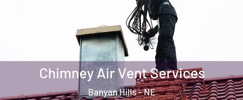 Chimney Air Vent Services Banyan Hills - NE