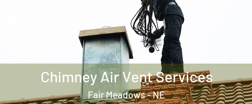 Chimney Air Vent Services Fair Meadows - NE