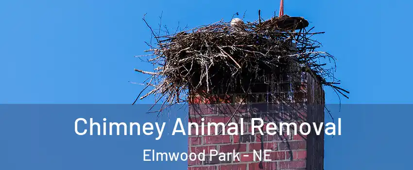 Chimney Animal Removal Elmwood Park - NE