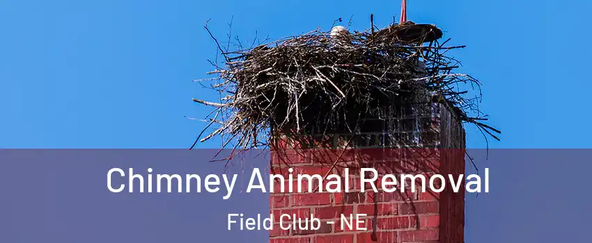 Chimney Animal Removal Field Club - NE