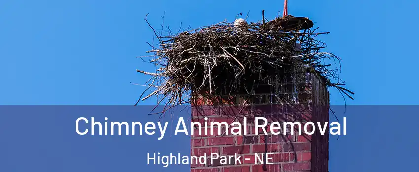 Chimney Animal Removal Highland Park - NE