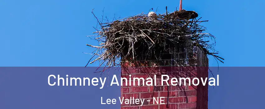 Chimney Animal Removal Lee Valley - NE