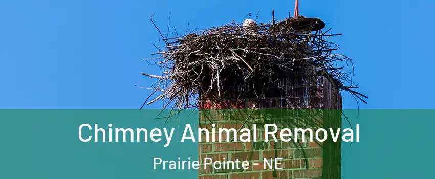 Chimney Animal Removal Prairie Pointe - NE