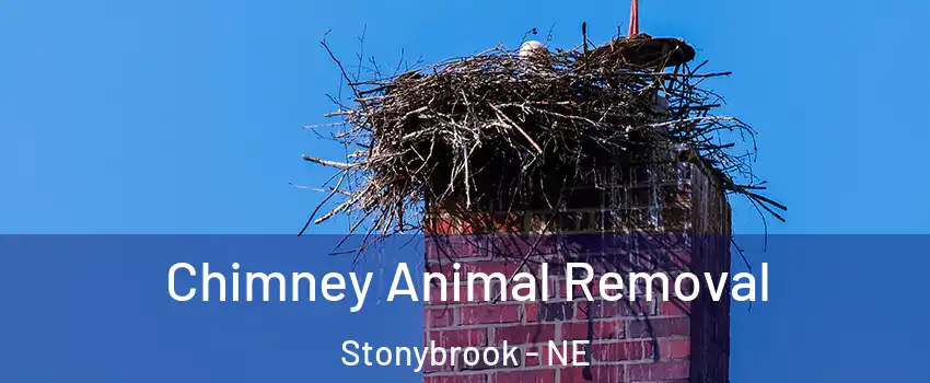 Chimney Animal Removal Stonybrook - NE