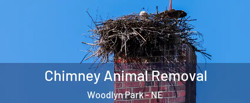 Chimney Animal Removal Woodlyn Park - NE