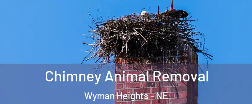 Chimney Animal Removal Wyman Heights - NE