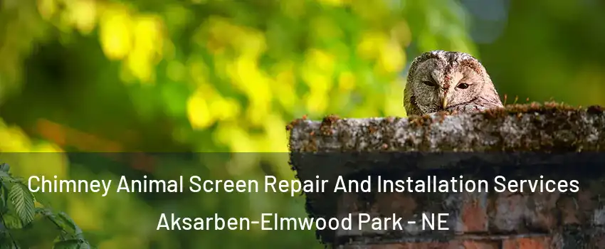 Chimney Animal Screen Repair And Installation Services Aksarben-Elmwood Park - NE