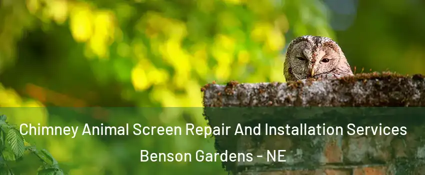 Chimney Animal Screen Repair And Installation Services Benson Gardens - NE