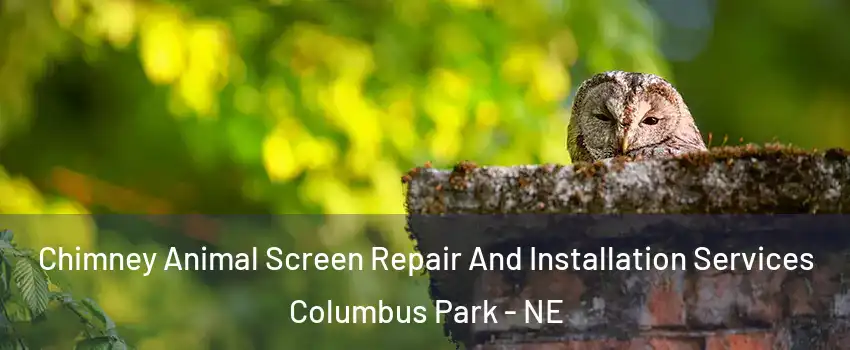 Chimney Animal Screen Repair And Installation Services Columbus Park - NE