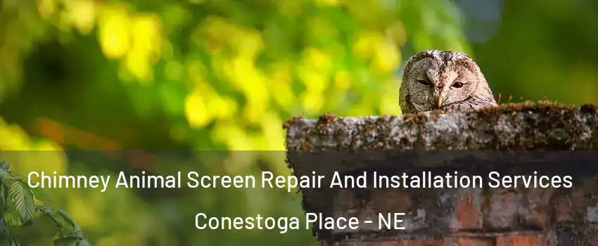 Chimney Animal Screen Repair And Installation Services Conestoga Place - NE