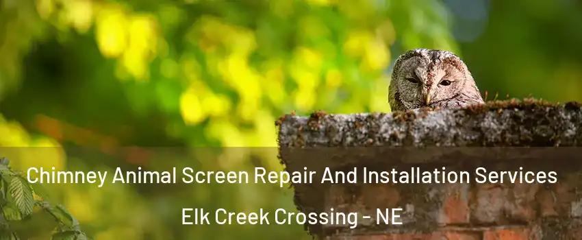 Chimney Animal Screen Repair And Installation Services Elk Creek Crossing - NE