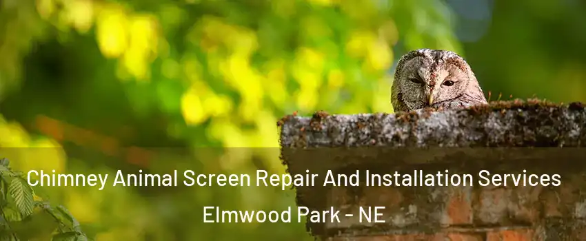 Chimney Animal Screen Repair And Installation Services Elmwood Park - NE