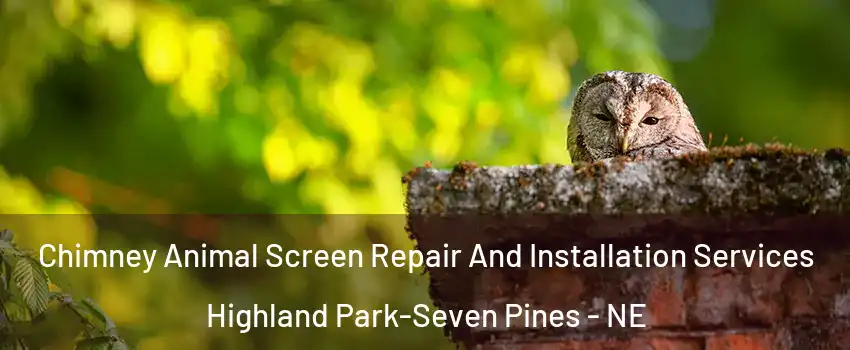 Chimney Animal Screen Repair And Installation Services Highland Park-Seven Pines - NE