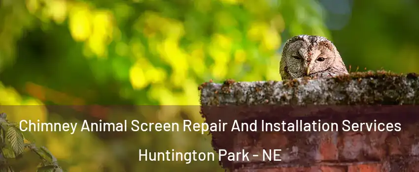 Chimney Animal Screen Repair And Installation Services Huntington Park - NE