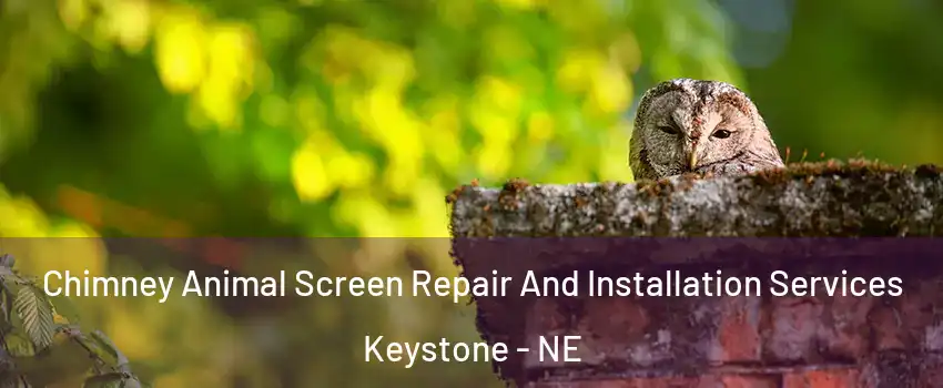 Chimney Animal Screen Repair And Installation Services Keystone - NE