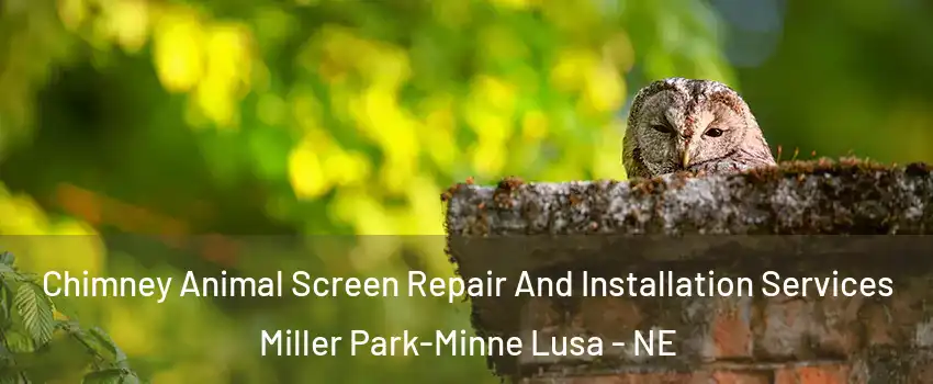 Chimney Animal Screen Repair And Installation Services Miller Park-Minne Lusa - NE