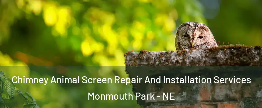 Chimney Animal Screen Repair And Installation Services Monmouth Park - NE