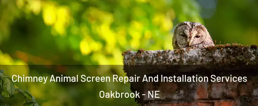 Chimney Animal Screen Repair And Installation Services Oakbrook - NE