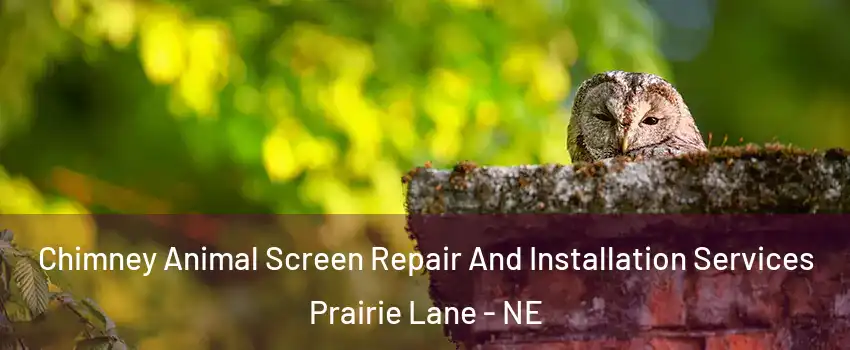 Chimney Animal Screen Repair And Installation Services Prairie Lane - NE