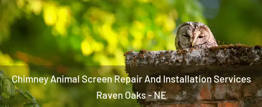 Chimney Animal Screen Repair And Installation Services Raven Oaks - NE