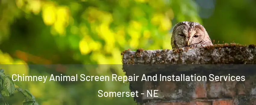 Chimney Animal Screen Repair And Installation Services Somerset - NE