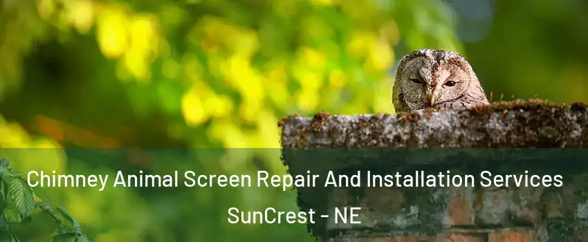 Chimney Animal Screen Repair And Installation Services SunCrest - NE