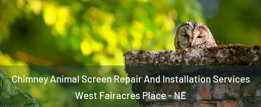 Chimney Animal Screen Repair And Installation Services West Fairacres Place - NE