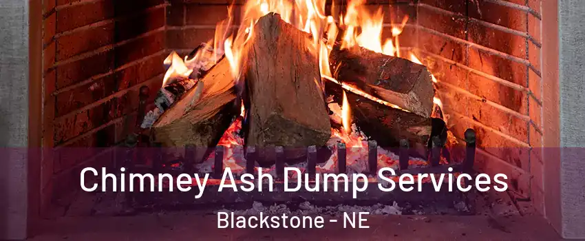 Chimney Ash Dump Services Blackstone - NE