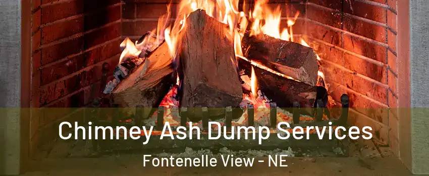 Chimney Ash Dump Services Fontenelle View - NE