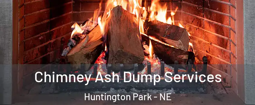 Chimney Ash Dump Services Huntington Park - NE