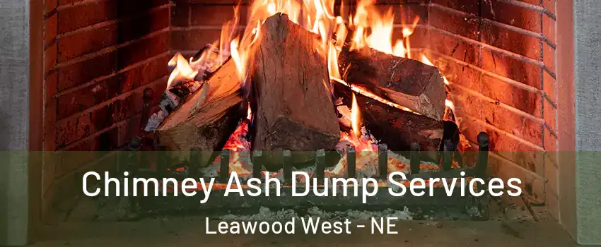 Chimney Ash Dump Services Leawood West - NE