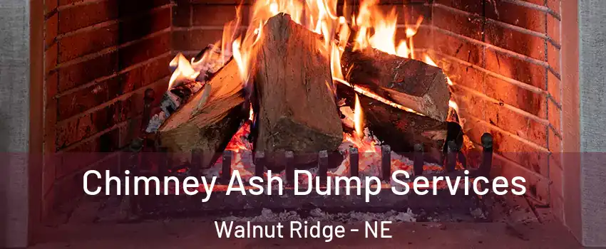 Chimney Ash Dump Services Walnut Ridge - NE