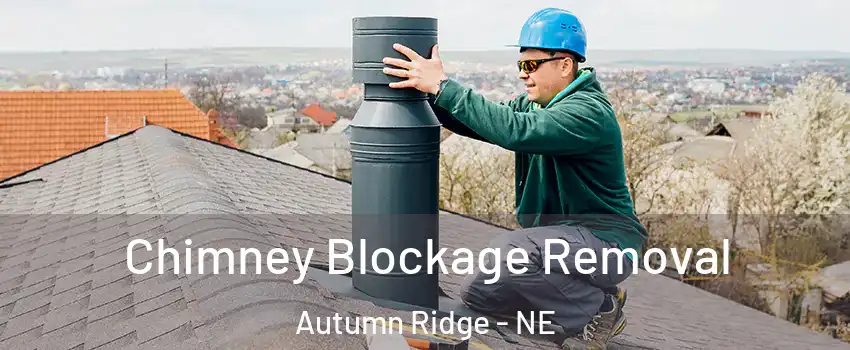 Chimney Blockage Removal Autumn Ridge - NE