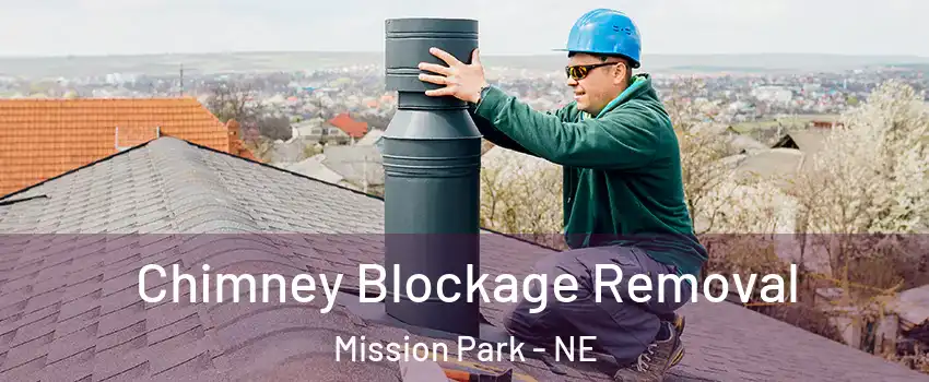 Chimney Blockage Removal Mission Park - NE