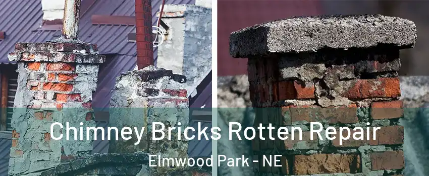 Chimney Bricks Rotten Repair Elmwood Park - NE