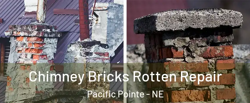 Chimney Bricks Rotten Repair Pacific Pointe - NE