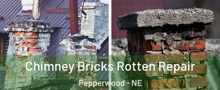 Chimney Bricks Rotten Repair Pepperwood - NE