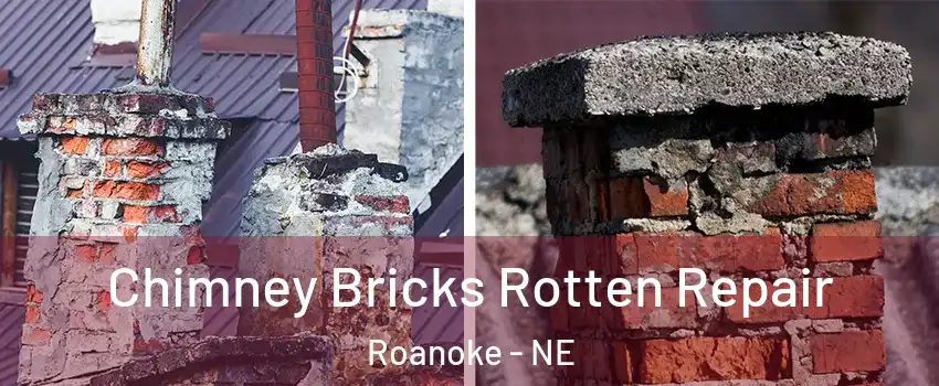 Chimney Bricks Rotten Repair Roanoke - NE