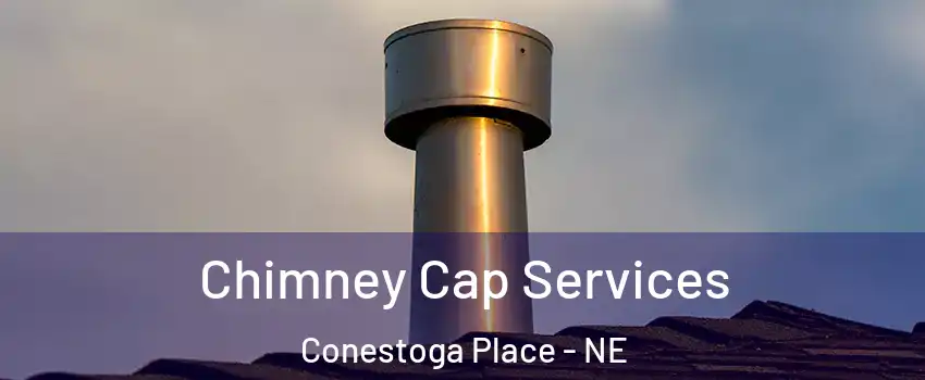 Chimney Cap Services Conestoga Place - NE