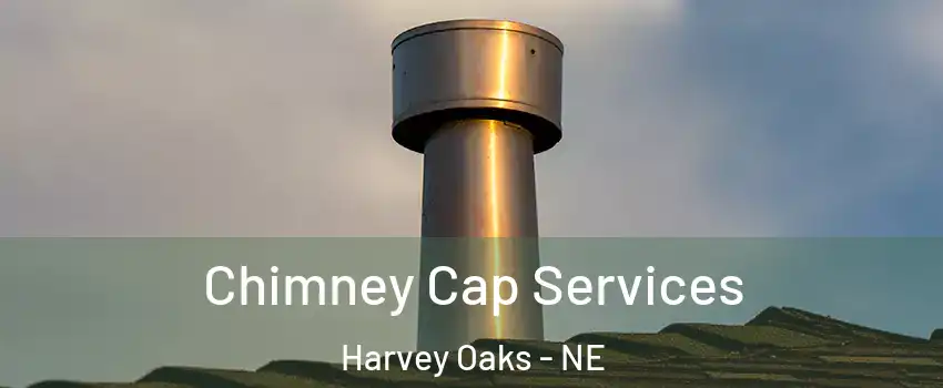 Chimney Cap Services Harvey Oaks - NE