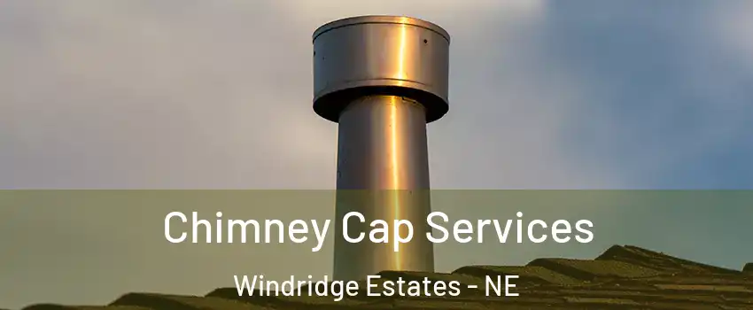 Chimney Cap Services Windridge Estates - NE