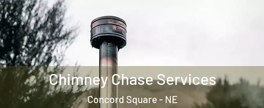 Chimney Chase Services Concord Square - NE