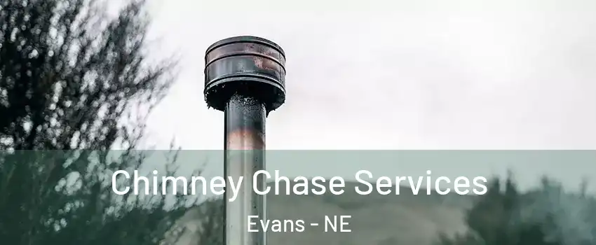 Chimney Chase Services Evans - NE