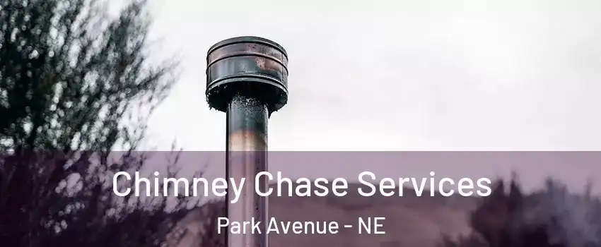 Chimney Chase Services Park Avenue - NE