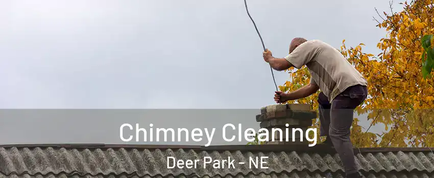 Chimney Cleaning Deer Park - NE