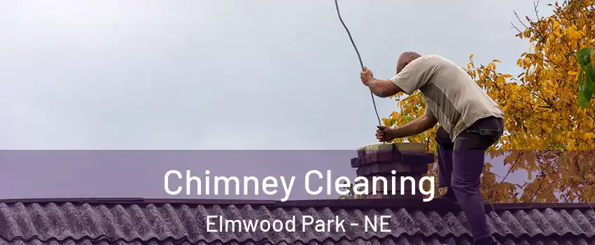 Chimney Cleaning Elmwood Park - NE