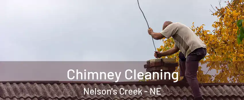 Chimney Cleaning Nelson's Creek - NE