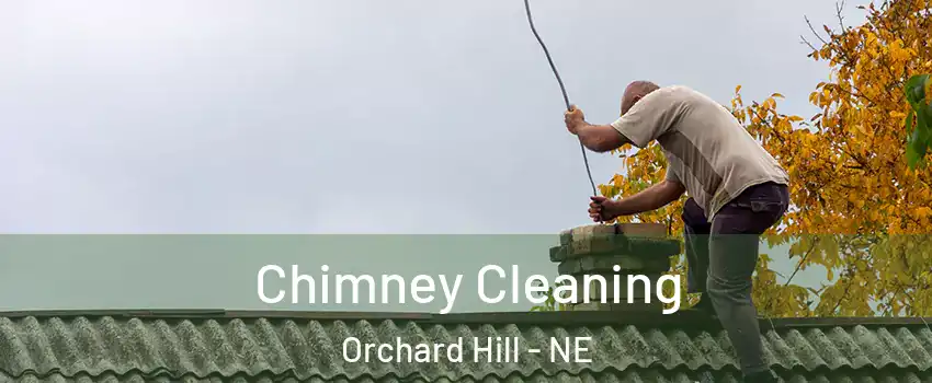 Chimney Cleaning Orchard Hill - NE